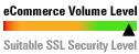 E-Commerce Suitable SSL Security Level